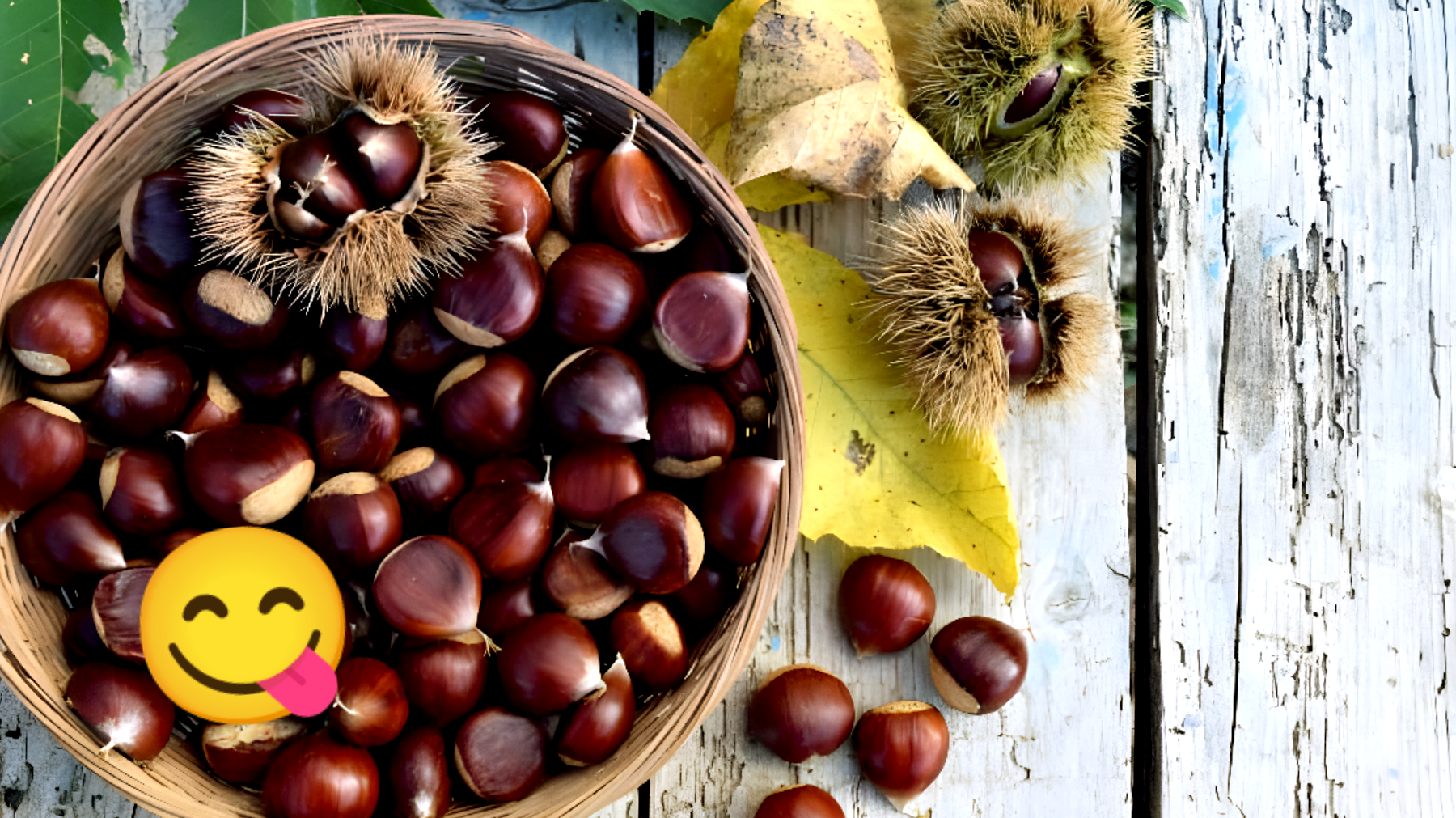 Conserva le castagne fresche!"